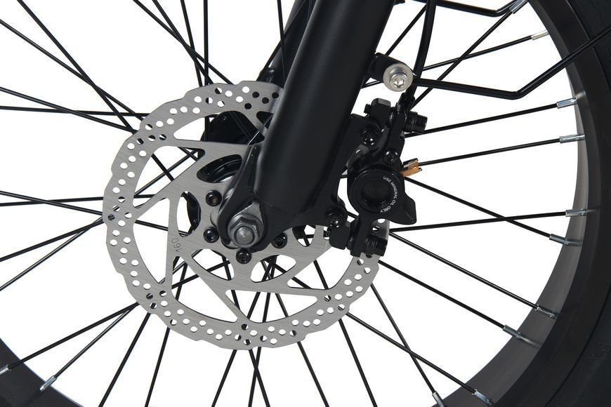 Електровелосипед фетбайк Tecros F1 48v 20Ah 1250w 20" 45 км/год Tecros_F1_48_20_1250 фото